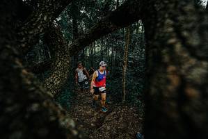 BIB: 
                            <button type="button" onclick="openModal(25676569)" class="btn btn-primary btn-sm float-right btn-popup" data-toggle="modal" data-target=".modal-high-quality">
                        <i class="fas fa-shopping-cart"></i> Add to Cart
                    </button>
                                            <button type="button" onclick="isThisMe(25676569, true)" class="btn btn-success btn-sm float-right btn-popup btn-isme hidden" data-toggle="tooltip" data-placement="bottom" title="นี่คือรูปของคุณใช่ไหม คลิกที่นี่เพื่อเอาเข้าอัลบั้ม">
                        <i class="fas fa-plus"></i> Add to album
                    </button>
                    <button type="button" onclick="isThisMe(25676569, false)" class="btn btn-warning btn-sm float-right btn-popup btn-isnotme hidden">
                        <i class="fas fa-ban"></i> Remove from album
                    </button>